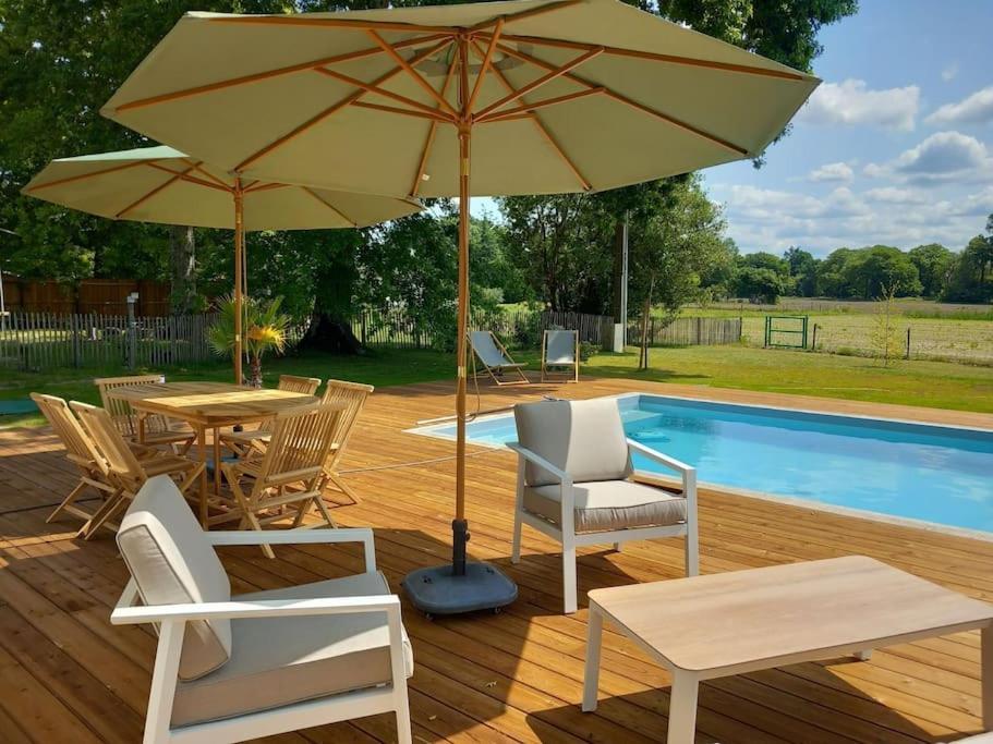 Maison Neuve Avec Piscine Chauffee, 4 Kms De Contis Plage Saint-Julien-en-Born Luaran gambar