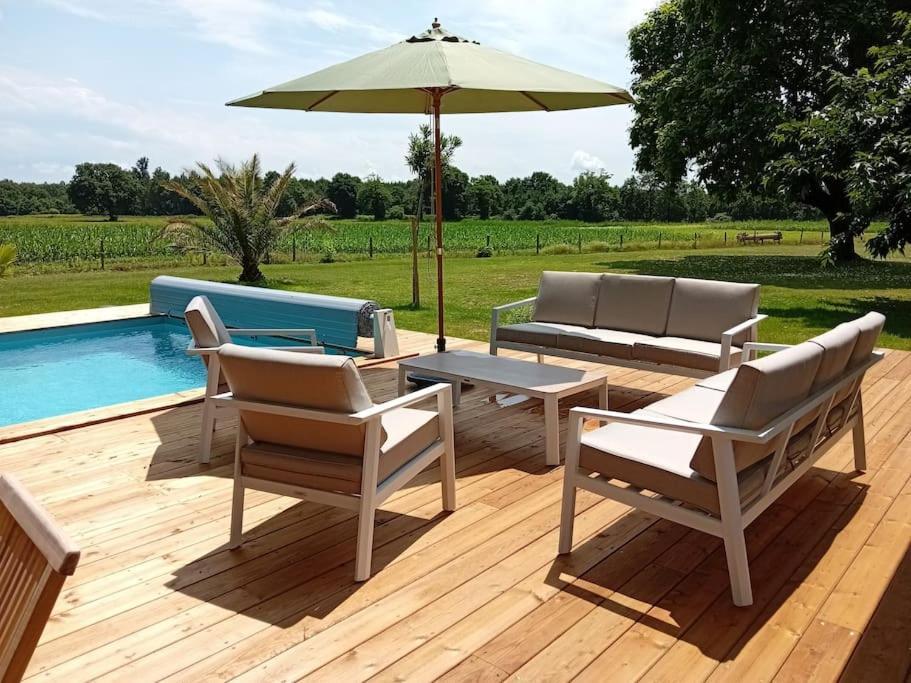 Maison Neuve Avec Piscine Chauffee, 4 Kms De Contis Plage Saint-Julien-en-Born Luaran gambar